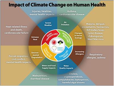 Communication research to improve engagement with climate change and human health: A review